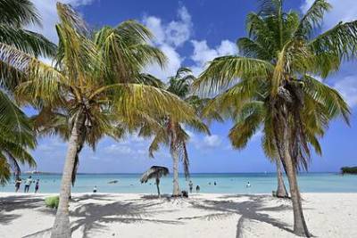 Названо условие возобновления авиасообщения с популярным пляжным курортом - lenta.ru - Россия - Куба - Гавана