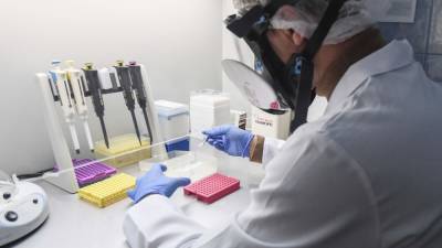 Ученые близки к созданию универсальной вакцины от всех штаммов коронавируса - ivbg.ru - Украина - Сингапур