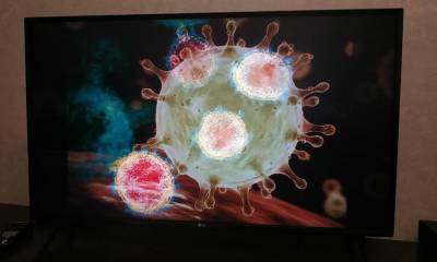 Ученые описали механизм взлома коронавирусом клеток человека - ufacitynews.ru - Сша