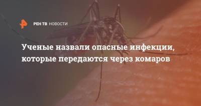Ученые назвали опасные инфекции, которые передаются через комаров - ren.tv - Россия
