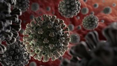 Прямо в мозг: Исследователи показали на видео, как коронавирус распространяется в организме - vchaspik.ua - Украина