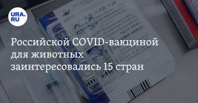 Российской COVID-вакциной для животных заинтересовались 15 стран - ura.news - Россия - Турция - Эстония - Германия - Тайвань - Польша - Таиланд - Эквадор - Греция - Венгрия - Ливан - Венесуэла