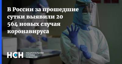 В России за прошедшие сутки выявили 20 564 новых случая коронавируса - nsn.fm - Россия