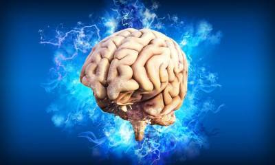 Человеческий мозг может предсказывать будущее - ученые и мира - cursorinfo.co.il - Англия - Канада - Дания