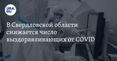 В Свердловской области снижается число выздоравливающих от COVID - ura.news - Свердловская обл.