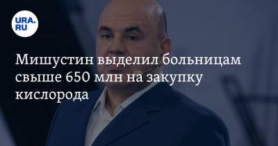 Михаил Мишустин - Мишустин выделил больницам свыше 650 млн на закупку кислорода - ura.news - Россия