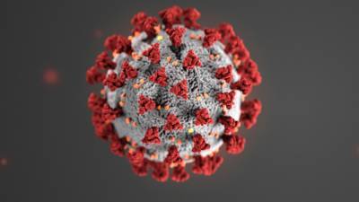 Одно антитело способно защитить ото всех мутаций коронавируса - inforeactor.ru - Сша - Вашингтон