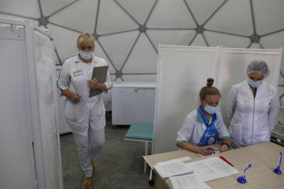 В Санкт-Петербург привезли крупную партию вакцины «Спутник V» - abnews.ru - Санкт-Петербург