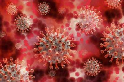 Сай Редди - Иммунолог предупредил о появлении более опасной мутации коронавируса - pnp.ru - Бразилия - Юар