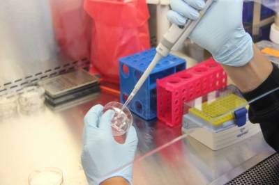 Ученые из США нашли антитело, способное защитить от всех штаммов COVID-19 - aif.ru - Сша - Вашингтон