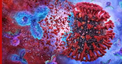 Антитело, защищающее от нескольких штаммов коронавируса, выявили ученые - profile.ru - Вашингтон