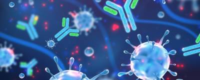 Ученые Университета Вашингтона выявили антитело, защищающее от всех штаммов COVID-19 - runews24.ru - Китай - Ухань - Вашингтон - Вашингтон