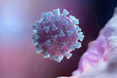 Найдено антитело, защищающее от всех штаммов коронавируса - obzor.lt - Вашингтон