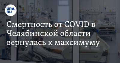 Смертность от COVID в Челябинской области вернулась к максимуму - ura.news - Челябинская обл.