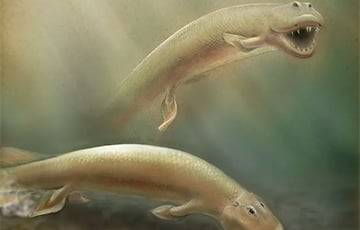 Ученые выяснили, когда на Земле появились первые четвероногие - charter97.org - Белоруссия