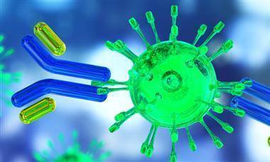 Пандемия COVID-19: обнаружено антитело, защищающее от всех штаммов коронавируса - smartmoney.one - Вашингтон - Вашингтон