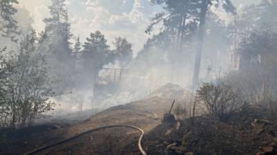 В Миассе за день произошло несколько крупных пожаров в лесах и садовых товариществах - newdaynews.ru
