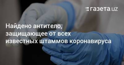 Найдено антитело, защищающее от всех известных штаммов коронавируса - gazeta.uz - Сша - Узбекистан - Вашингтон