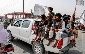 «Крайние и умеренные ветви талибов будут драться друг с другом» - charter97.org - Белоруссия - Афганистан