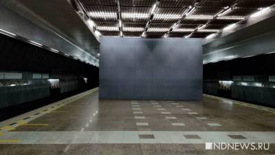 В Токийском метро неизвестный облил пассажиров кислотой - newdaynews.ru - Токио