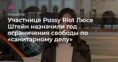 Людмила Штейн - Участнице Pussy Riot Люсе Штейн назначили год ограничения свободы по «санитарному делу» - tvrain.ru