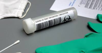 Регина Лочмеле - Кому будет можно работать без прививки, но с негативным тестом на Covid-19? Об этом спорят в Сейме - rus.delfi.lv - Латвия