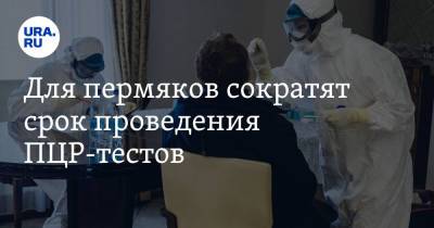 Для пермяков сократят срок проведения ПЦР-тестов - ura.news - Пермь - Пермский край