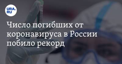 Число погибших от коронавируса в России побило рекорд - ura.news - Россия - Москва