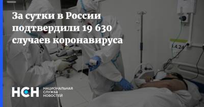 За сутки в России подтвердили 19 630 случаев коронавируса - nsn.fm - Россия - Санкт-Петербург - Москва - Московская обл.