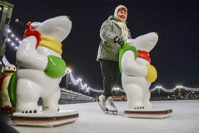 Ярослав Нилов - В Госдуме прокомментировали идею продлить новогодние каникулы для пенсионеров - lenta.ru