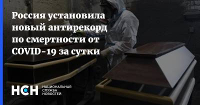 Россия установила новый антирекорд по смертности от COVID-19 за сутки - nsn.fm - Россия - Санкт-Петербург - Москва - Краснодарский край