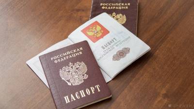 Алексей Гавришев - Россияне не обязаны носить с собой паспорт - newdaynews.ru