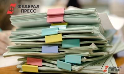 «Непрофессиональная и популистская»: эксперты раскритиковали предвыборные программы партий - fedpress.ru - Россия