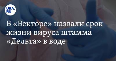 В «Векторе» назвали срок жизни вируса штамма «Дельта» в воде - ura.news
