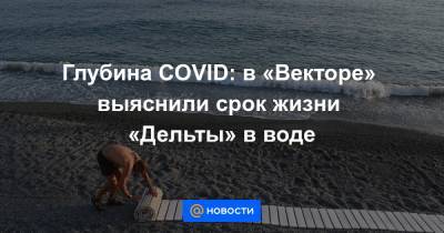 Глубина COVID: в «Векторе» выяснили срок жизни «Дельты» в воде - news.mail.ru