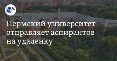 Пермский университет отправляет аспирантов на удаленку - ura.news - Россия - Пермь