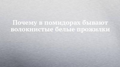 Почему в помидорах бывают волокнистые белые прожилки - chelny-izvest.ru