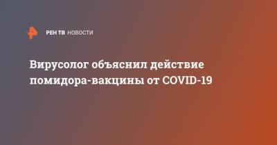 Вирусолог объяснил действие помидора-вакцины от COVID-19 - ren.tv - Узбекистан