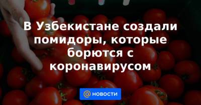 В Узбекистане создали помидоры, которые борются с коронавирусом - news.mail.ru - Узбекистан