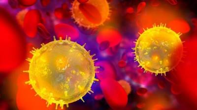Разведка США установила, создавался ли коронавирус как биологическое оружие - 5-tv.ru - Сша