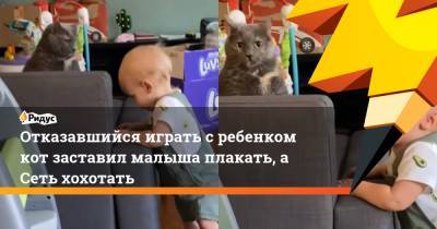 Отказавшийся играть с ребенком кот заставил малыша плакать, а Сеть хохотать - ridus.ru