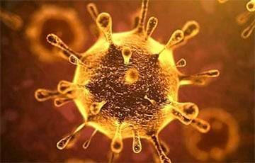 Ученые: Переболевшие коронавирусом меньше ощущают холод - charter97.org - Белоруссия - Сша