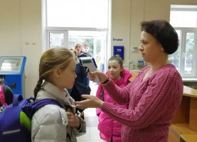 Антикоронавирсные правила в школах России будут действовать до конца учебного года - province.ru - Россия