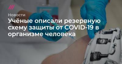 Учёные описали резервную схему защиты от COVID-19 в организме человека - tvrain.ru