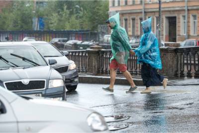 Андрей Тяжельников - Врач рассказал, как не заболеть, попав под дождь - abnews.ru