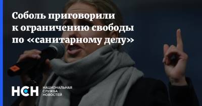 Соболь приговорили к ограничению свободы по «санитарному делу» - nsn.fm - Россия - Москва