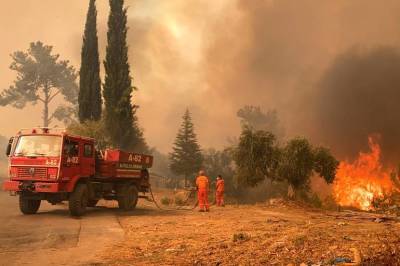 Как обстоит ситуация с лесными пожарами в Турции на 3 августа 2021 года - yur-gazeta.ru - Турция