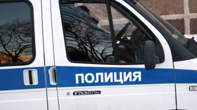 В Петербурге задержали участника пикета в поддержку "Умного голосования" - svoboda.org - Санкт-Петербург