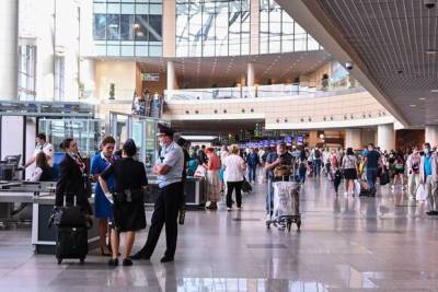 Названы предметы, которые забывали пассажиры в аэропортах Москвы с начала года - yur-gazeta.ru - Москва