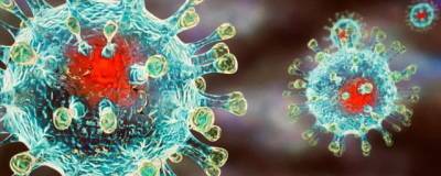 Сая Редди - Шведский ученый заявил об угрозе нового суперварианта коронавируса COVID-22 - runews24.ru